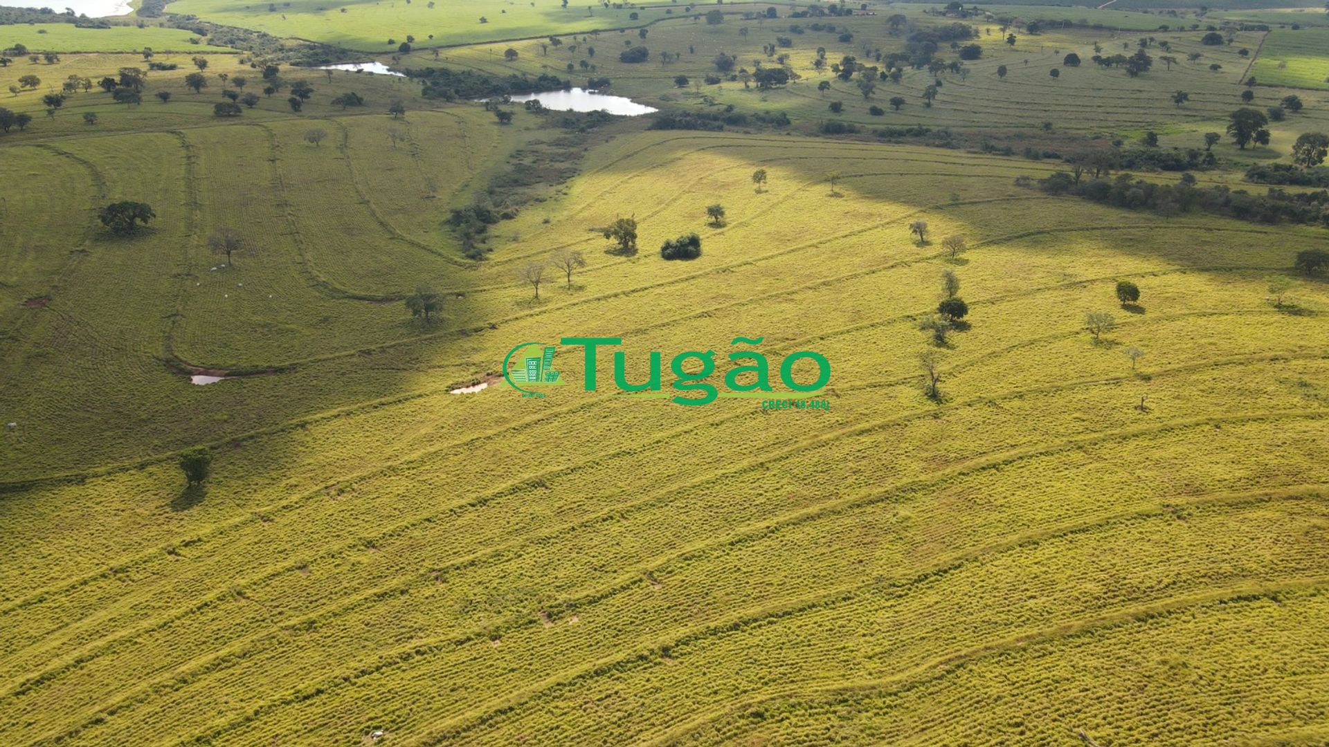 Fazenda / Sítio / Chácara  à venda, 3143183m² — foto 40 de 50