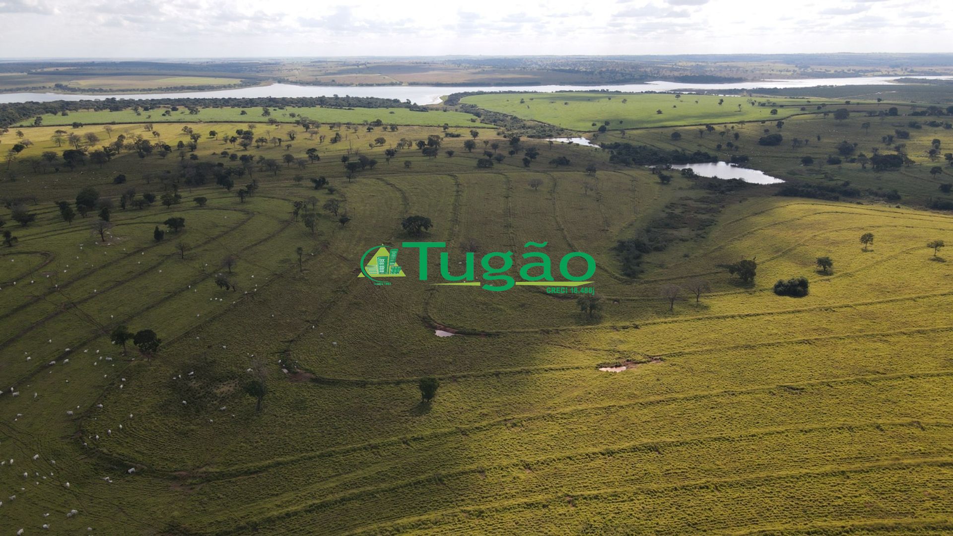 Fazenda / Sítio / Chácara  à venda, 3143183m² — foto 38 de 50