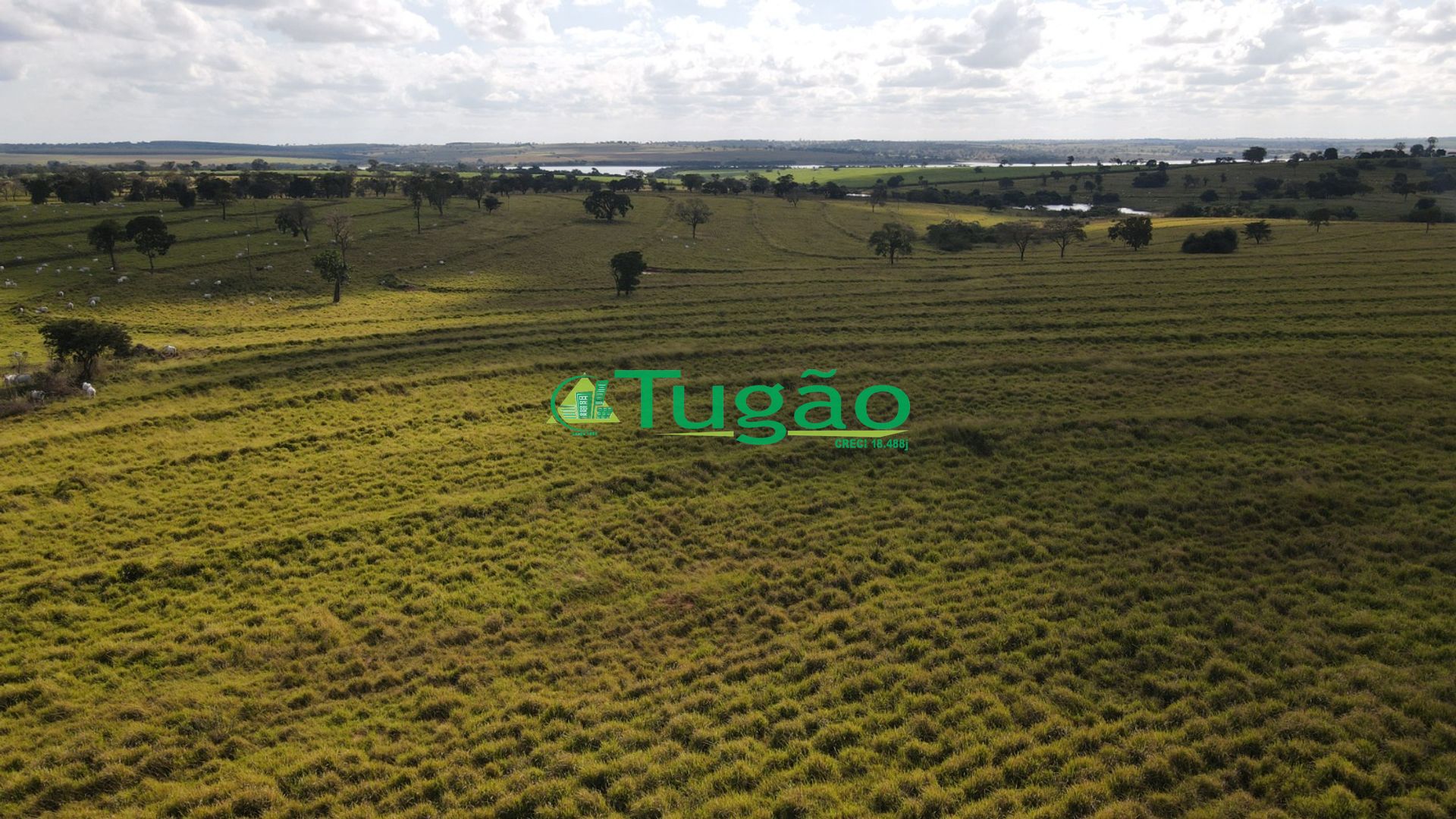 Fazenda / Sítio / Chácara  à venda, 3143183m² — foto 46 de 50