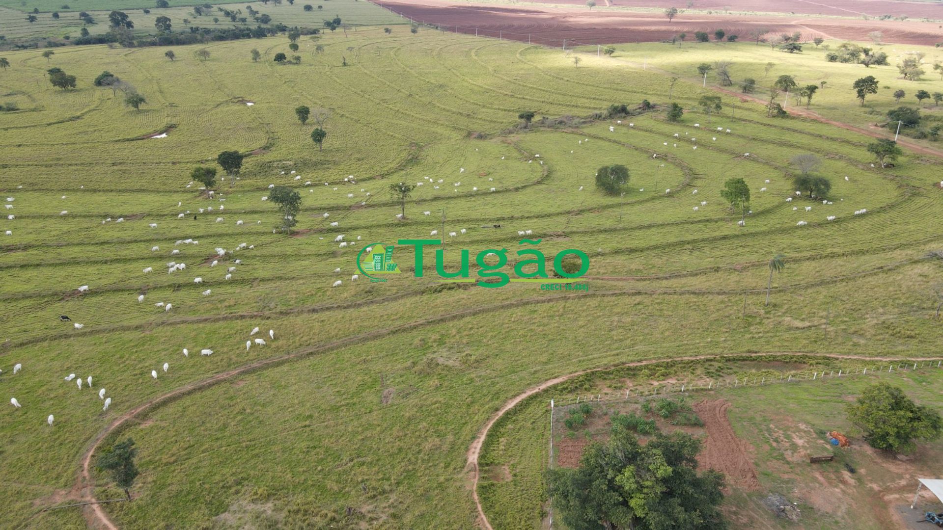Fazenda / Sítio / Chácara  à venda, 3143183m² — foto 20 de 50