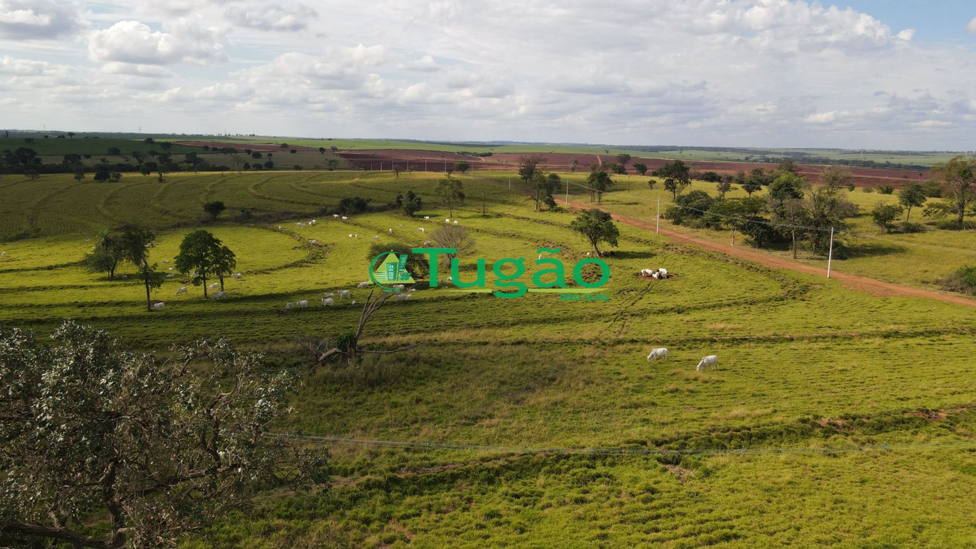 Fazenda / Sítio / Chácara  à venda, 3143183m² — foto 15 de 50