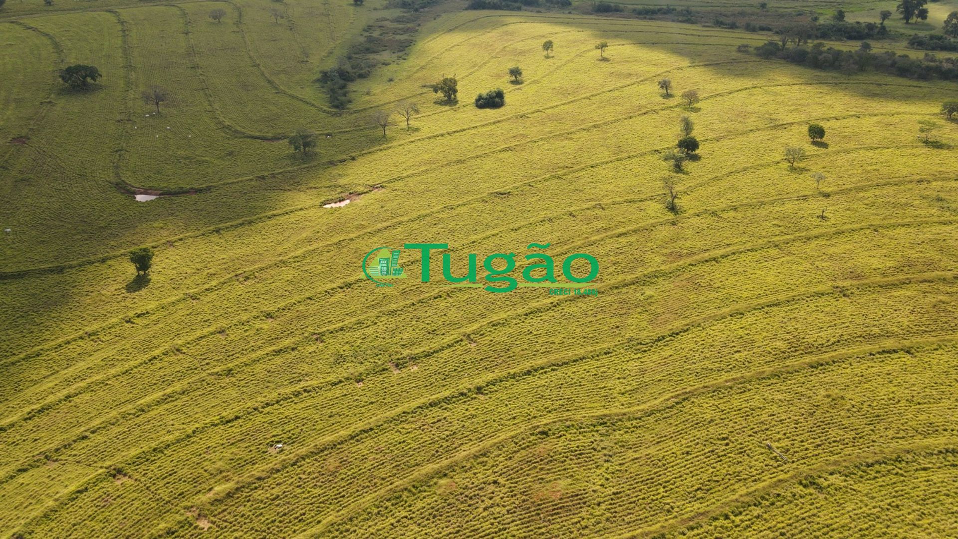 Fazenda / Sítio / Chácara  à venda, 3143183m² — foto 39 de 50