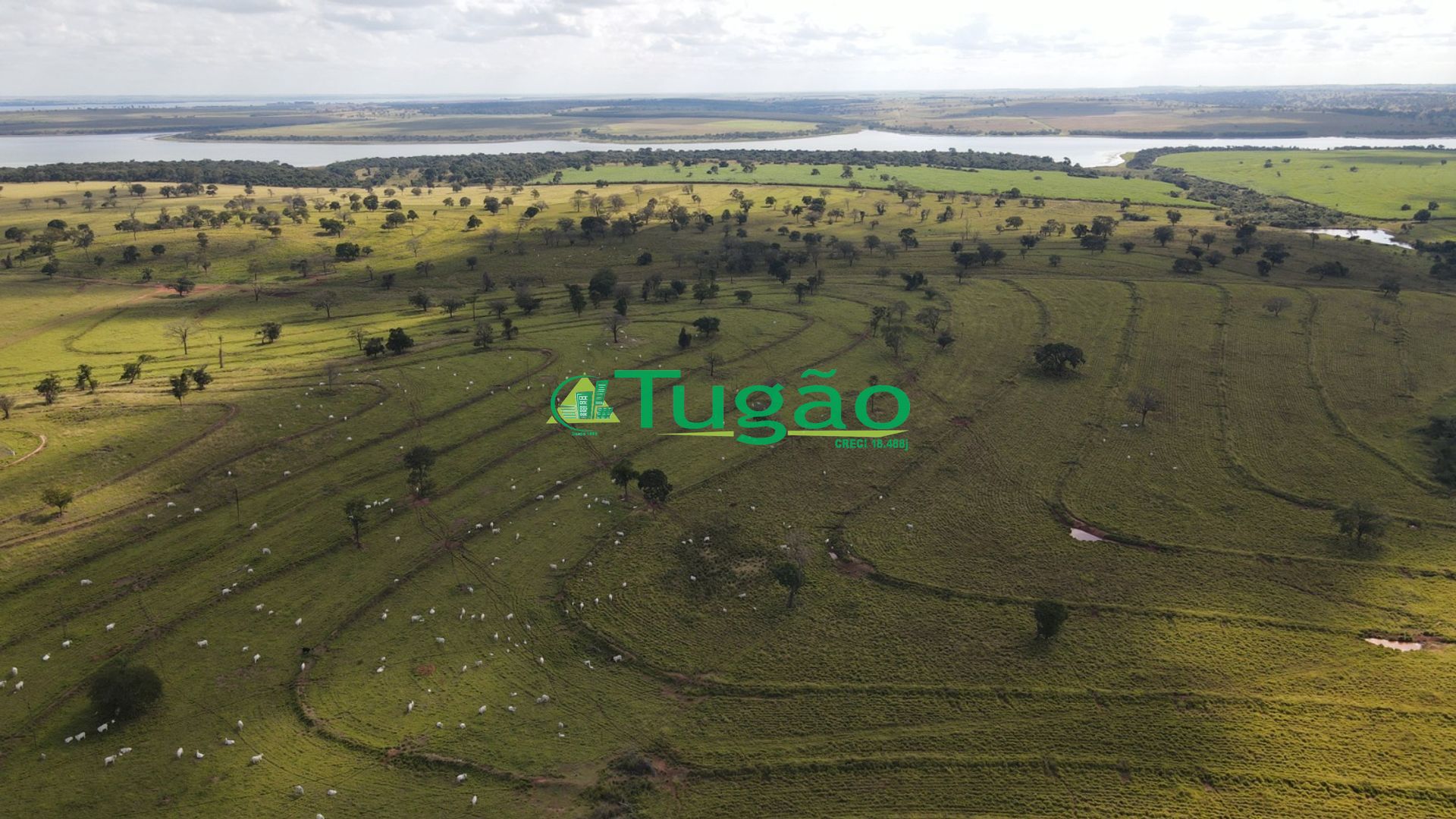 Fazenda / Sítio / Chácara  à venda, 3143183m² — foto 41 de 50