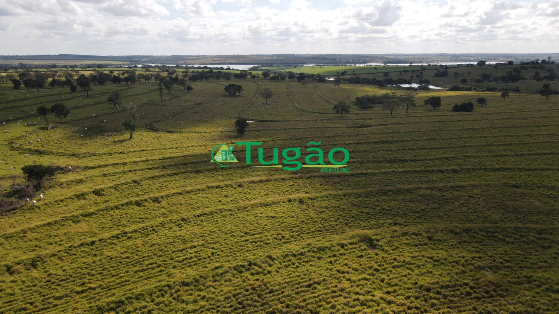 Fazenda / Sítio / Chácara  à venda, 3143183m² — foto 49 de 50