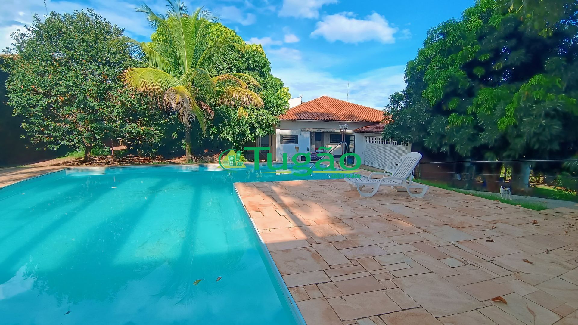 Casa com 6 quartos para aluguel, 355m² — foto 11 de 24
