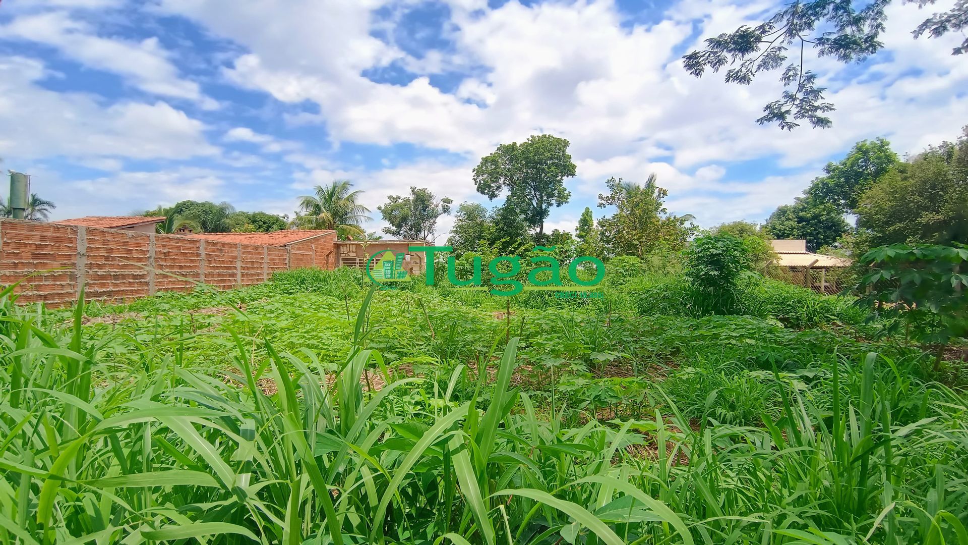 Fazenda / Sítio / Chácara  à venda, 1000m² — foto 1 de 1