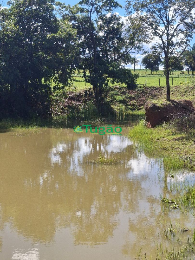 Fazenda / Sítio / Chácara  à venda, 338800m² — foto 18 de 35