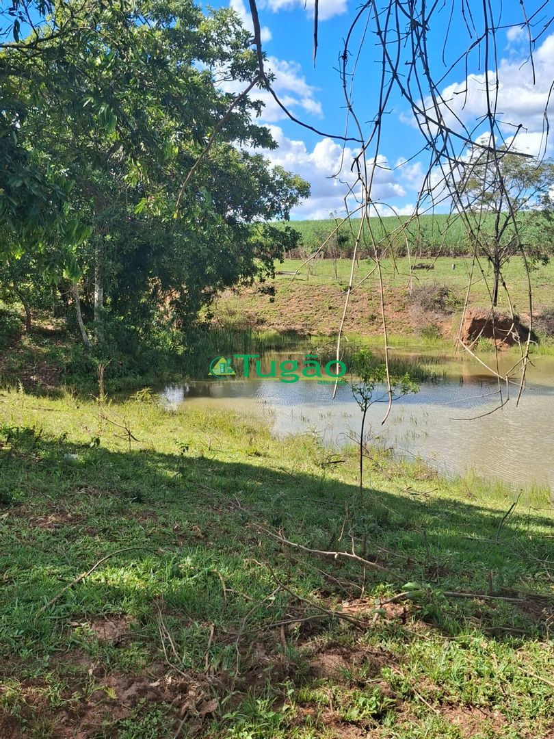 Fazenda / Sítio / Chácara  à venda, 338800m² — foto 28 de 35
