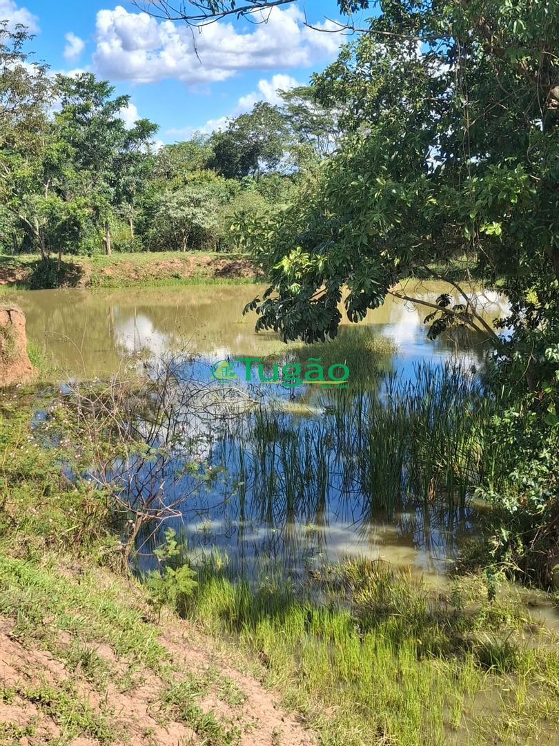 Fazenda / Sítio / Chácara  à venda, 338800m² — foto 34 de 35