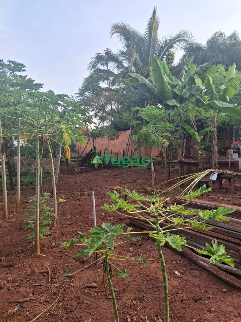 Fazenda / Sítio / Chácara  à venda, 338800m² — foto 5 de 35