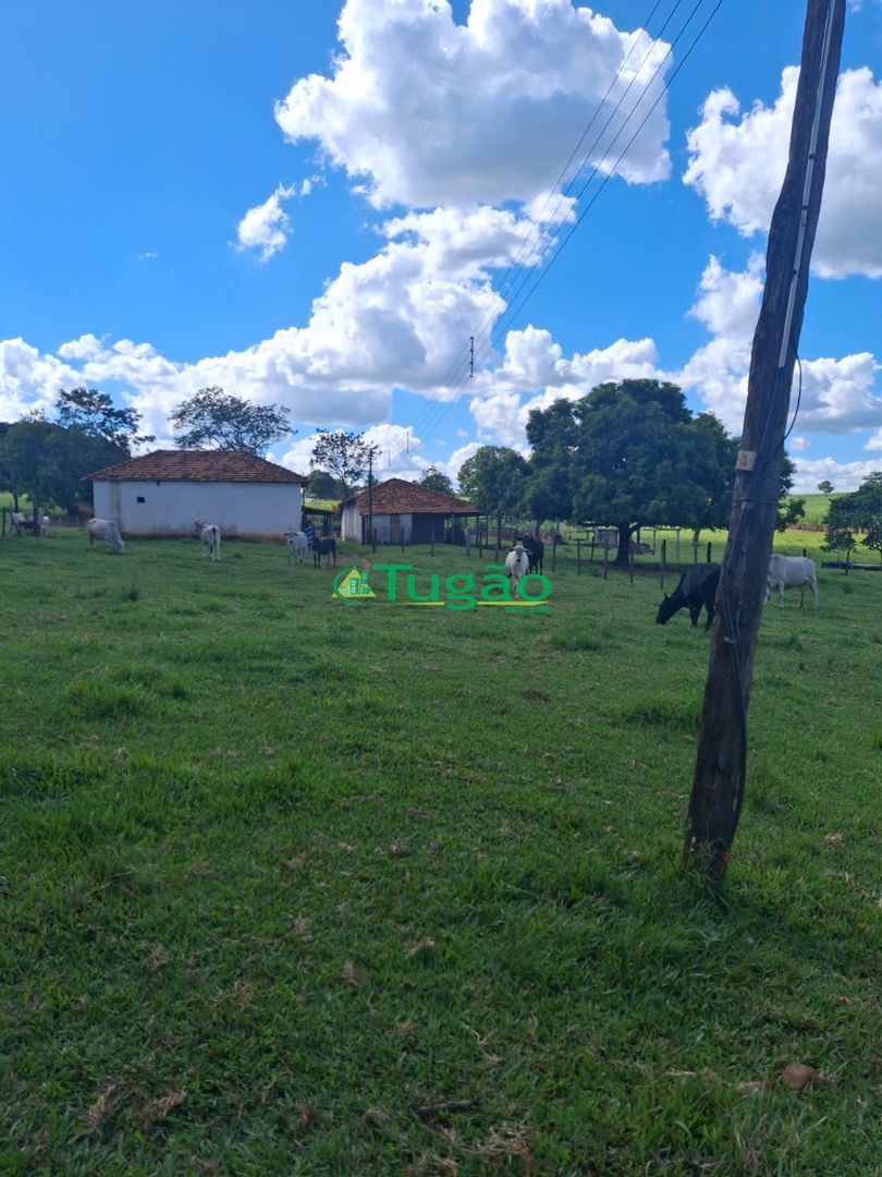 Fazenda / Sítio / Chácara  à venda, 338800m² — foto 8 de 35