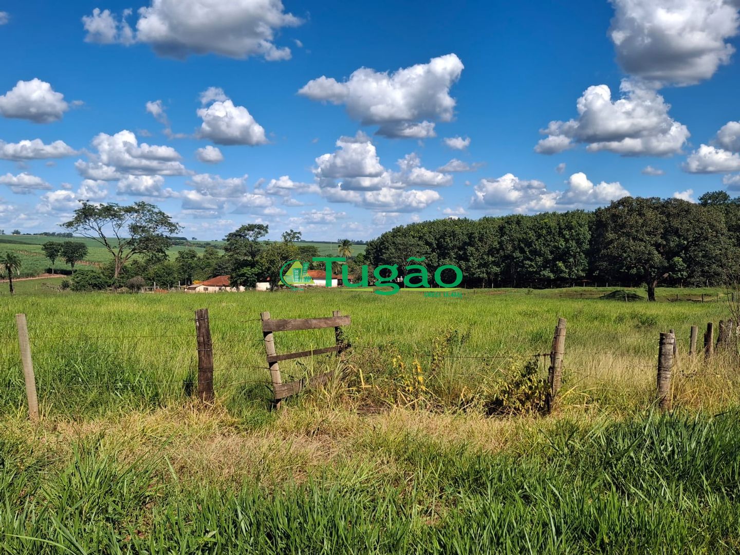 Fazenda / Sítio / Chácara  à venda, 338800m² — foto 33 de 35