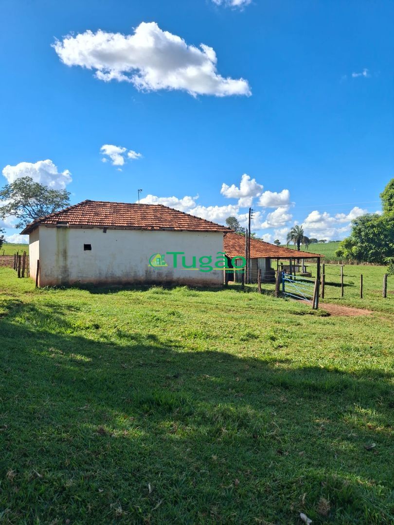 Fazenda / Sítio / Chácara  à venda, 338800m² — foto 23 de 35