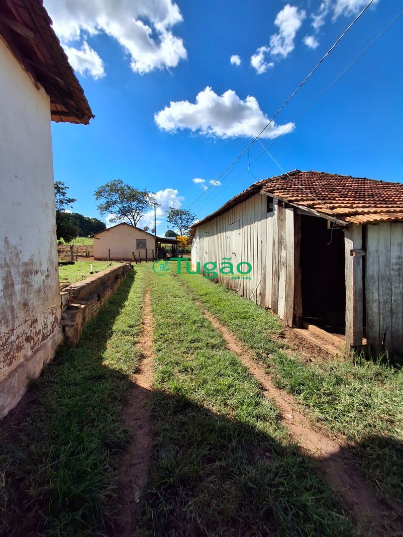 Fazenda / Sítio / Chácara  à venda, 338800m² — foto 25 de 35