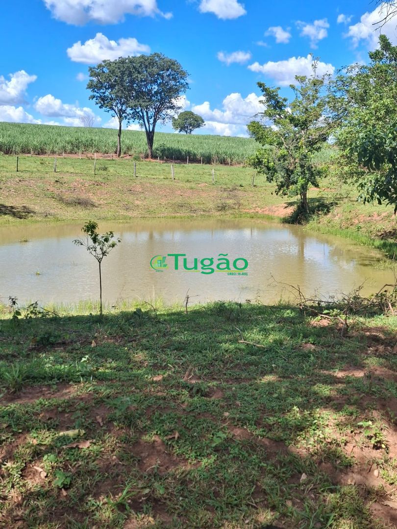 Fazenda / Sítio / Chácara  à venda, 338800m² — foto 24 de 35