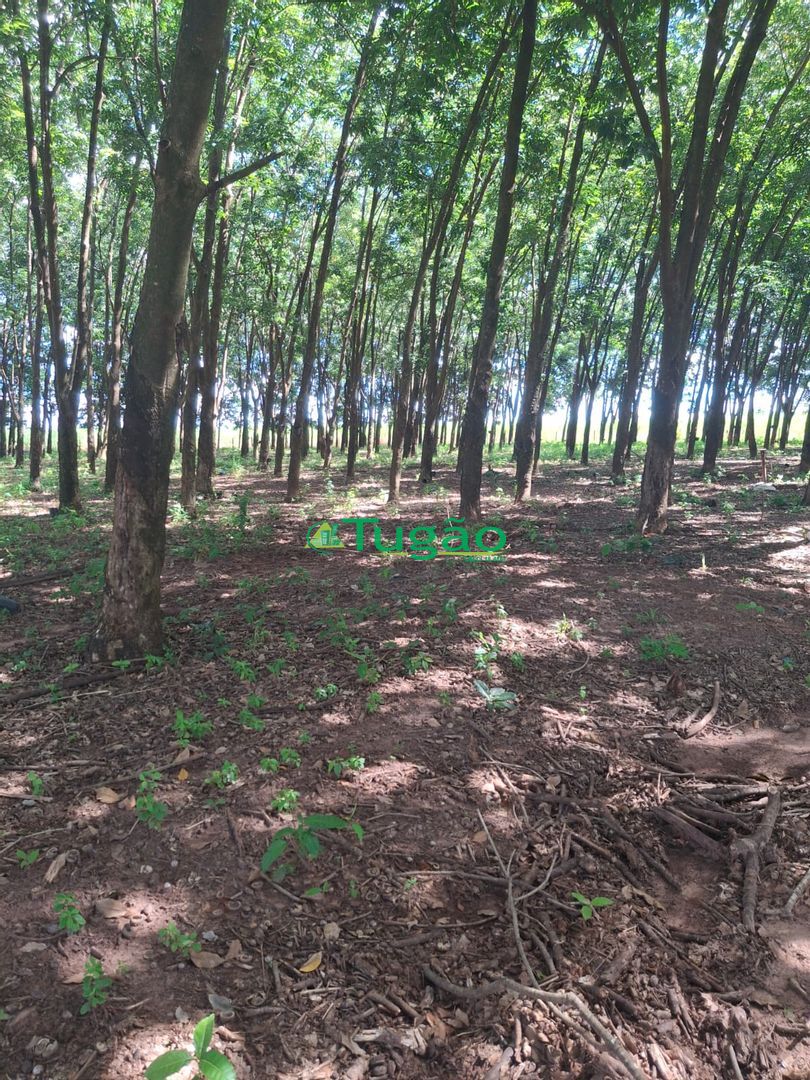 Fazenda / Sítio / Chácara  à venda, 338800m² — foto 7 de 35