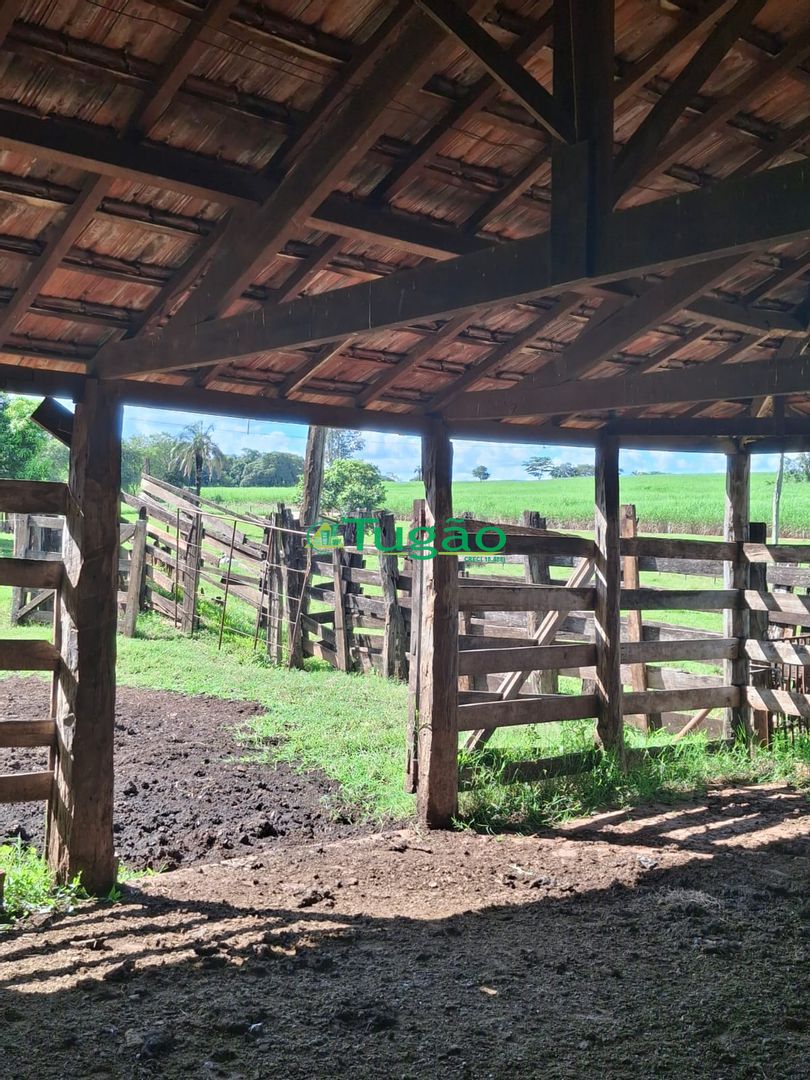 Fazenda / Sítio / Chácara  à venda, 338800m² — foto 20 de 35