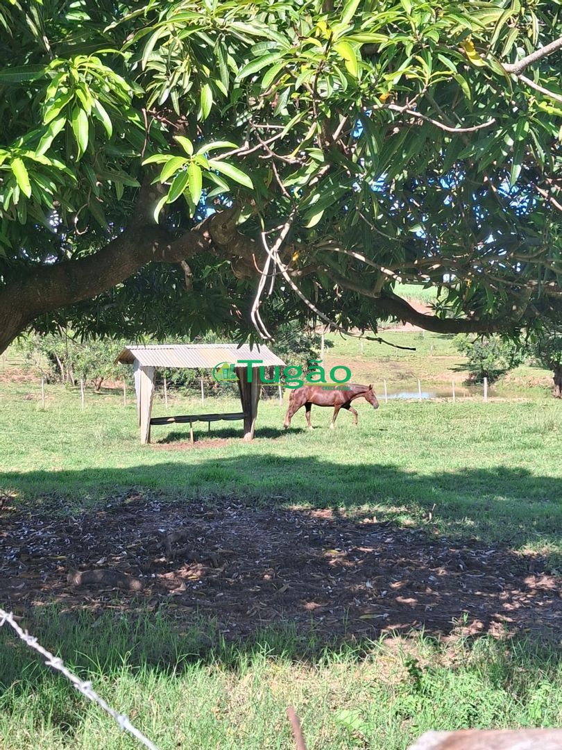 Fazenda / Sítio / Chácara  à venda, 338800m² — foto 29 de 35
