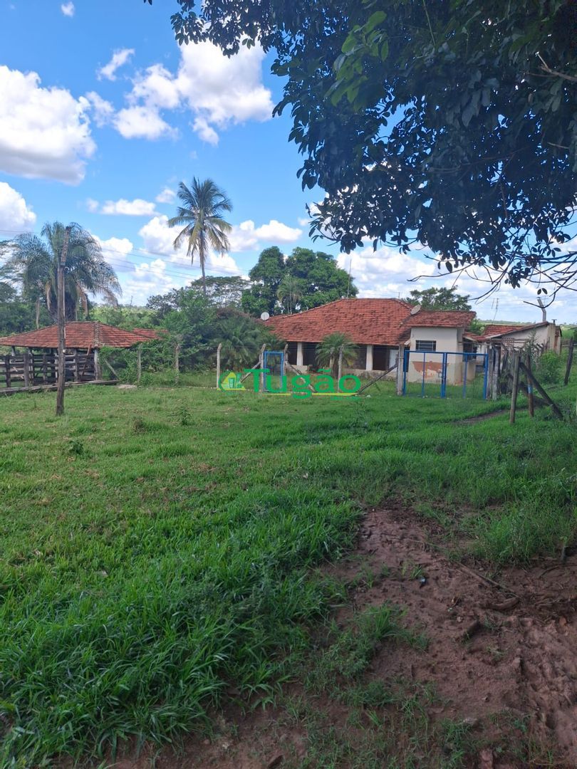 Fazenda / Sítio / Chácara  à venda, 338800m² — foto 6 de 35