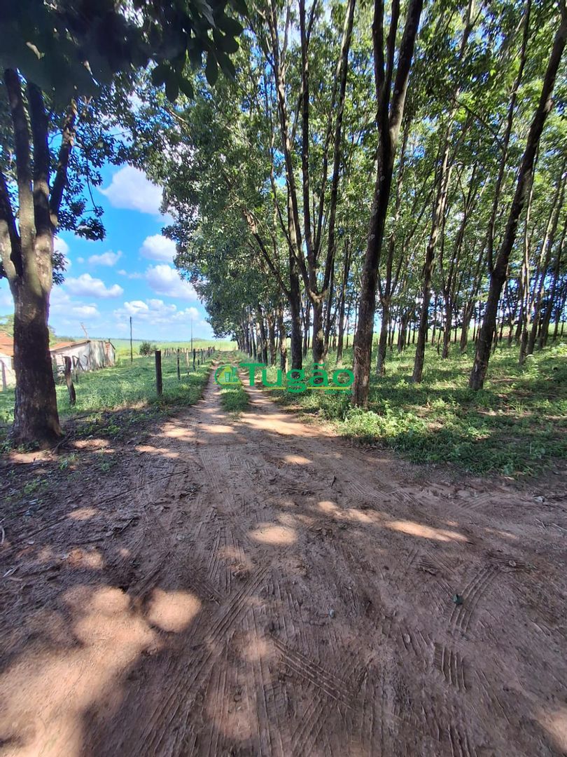Fazenda / Sítio / Chácara  à venda, 338800m² — foto 30 de 35