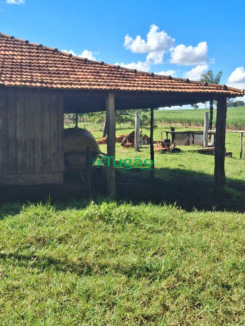 Fazenda / Sítio / Chácara  à venda, 338800m² — foto 27 de 35