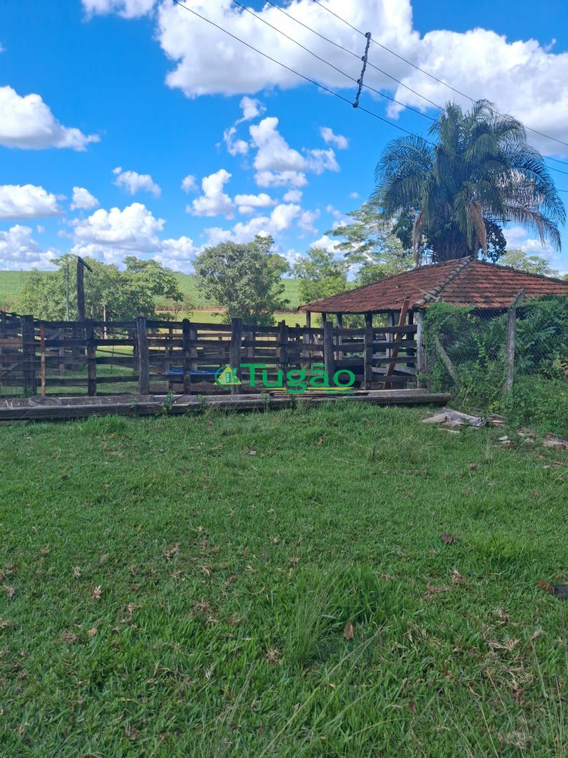 Fazenda / Sítio / Chácara  à venda, 338800m² — foto 9 de 35