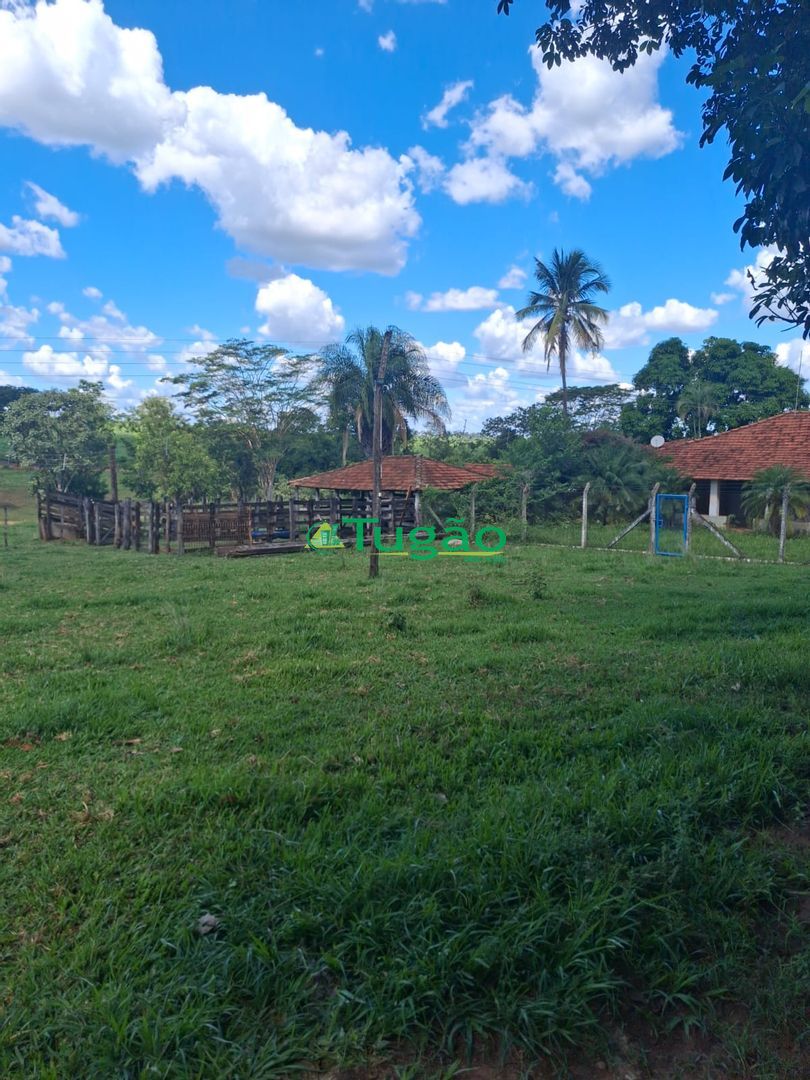 Fazenda / Sítio / Chácara  à venda, 338800m² — foto 15 de 35