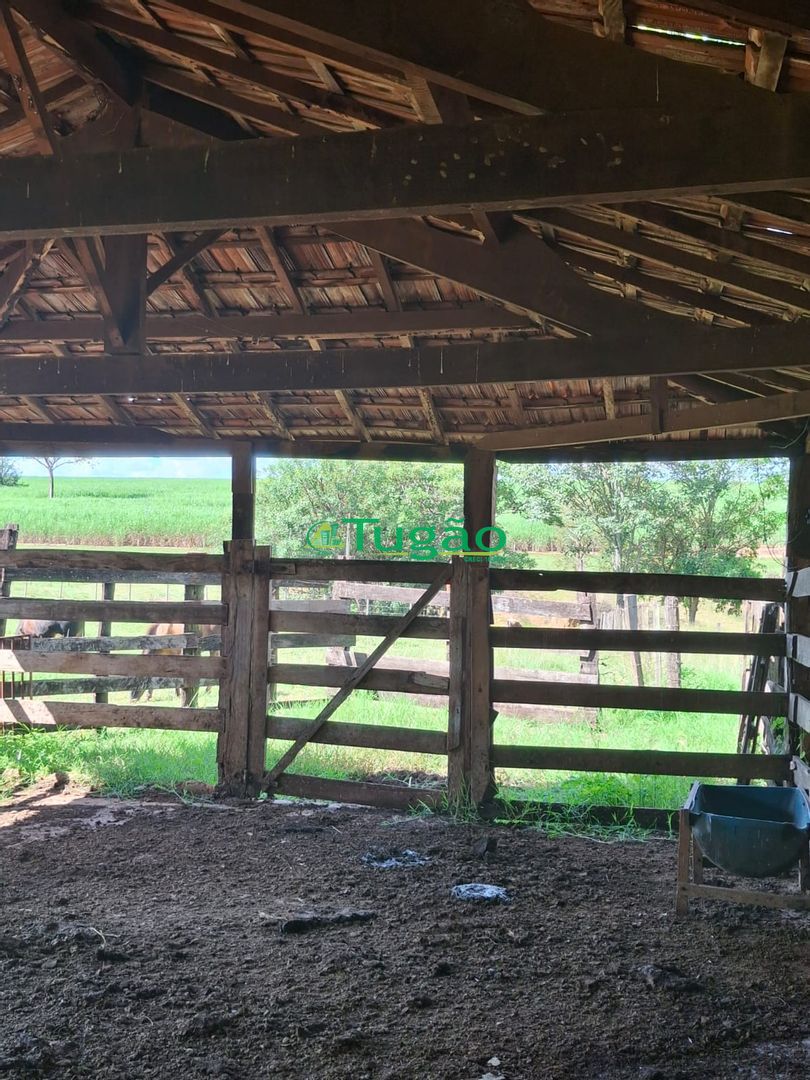 Fazenda / Sítio / Chácara  à venda, 338800m² — foto 14 de 35