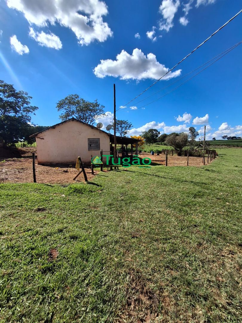 Fazenda / Sítio / Chácara  à venda, 338800m² — foto 31 de 35