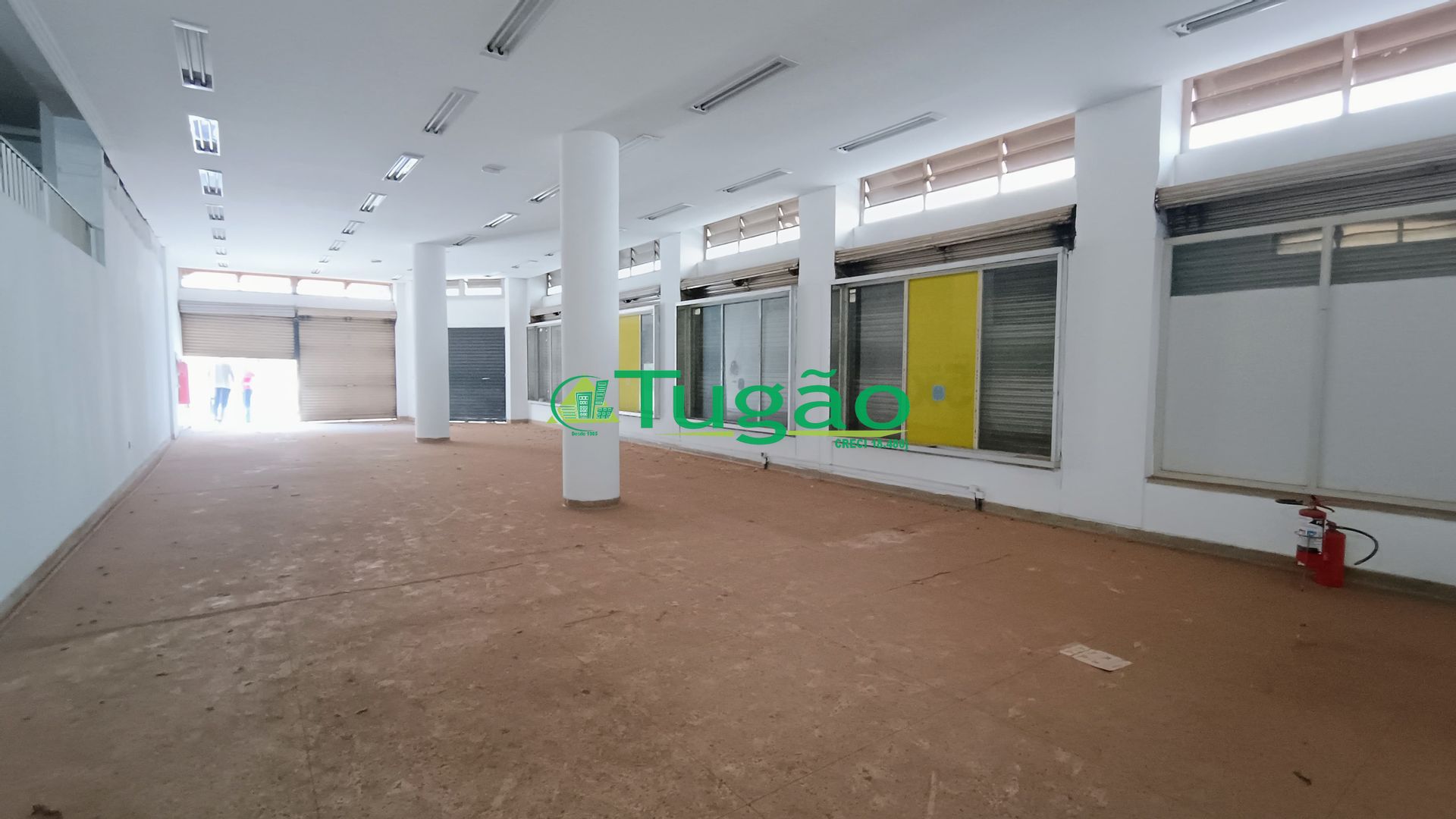 Loja / Salão / Ponto Comercial  para aluguel, 250m² — foto 6 de 8