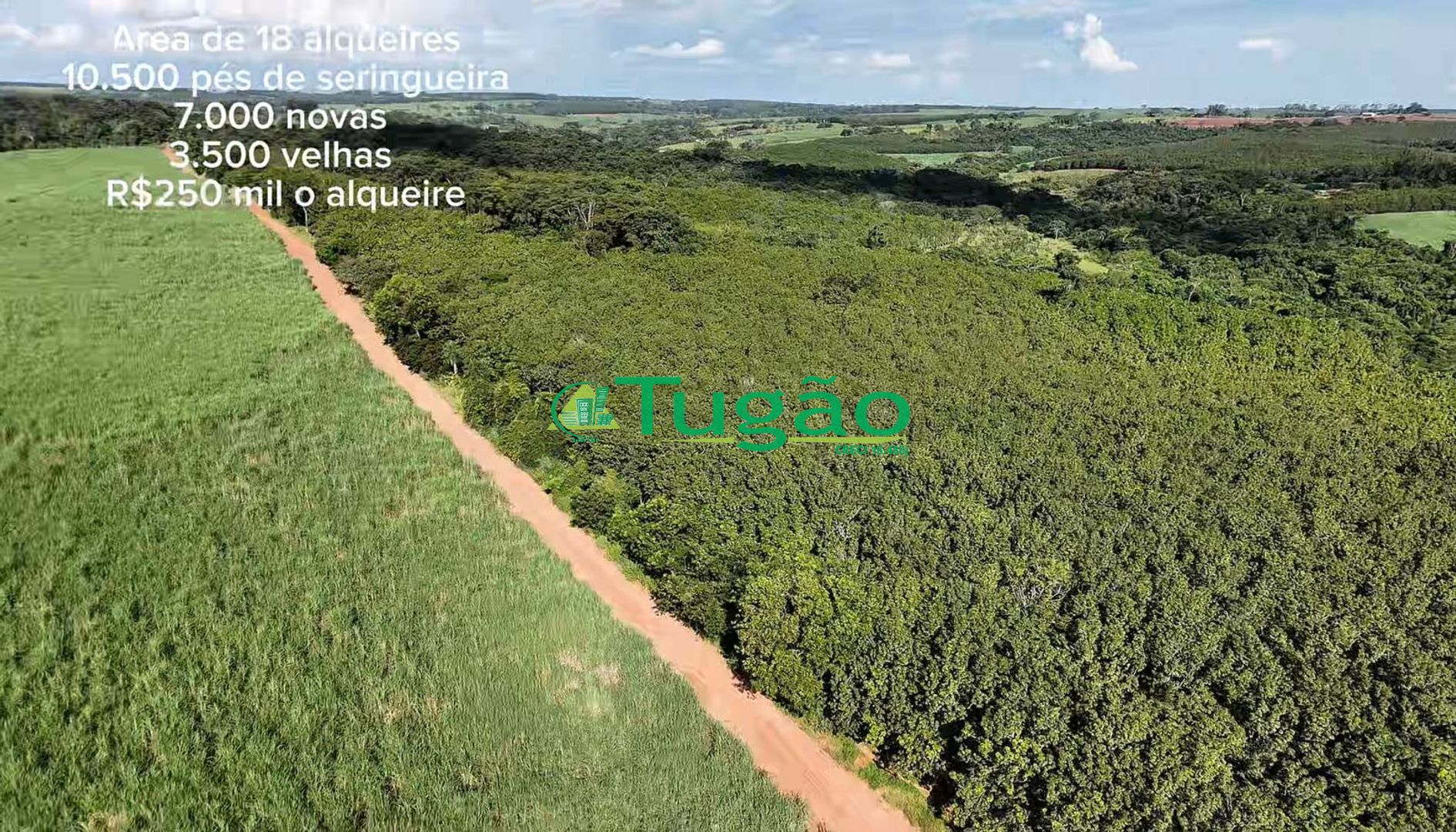 Fazenda / Sítio / Chácara  à venda, 435600m² — foto 2 de 5