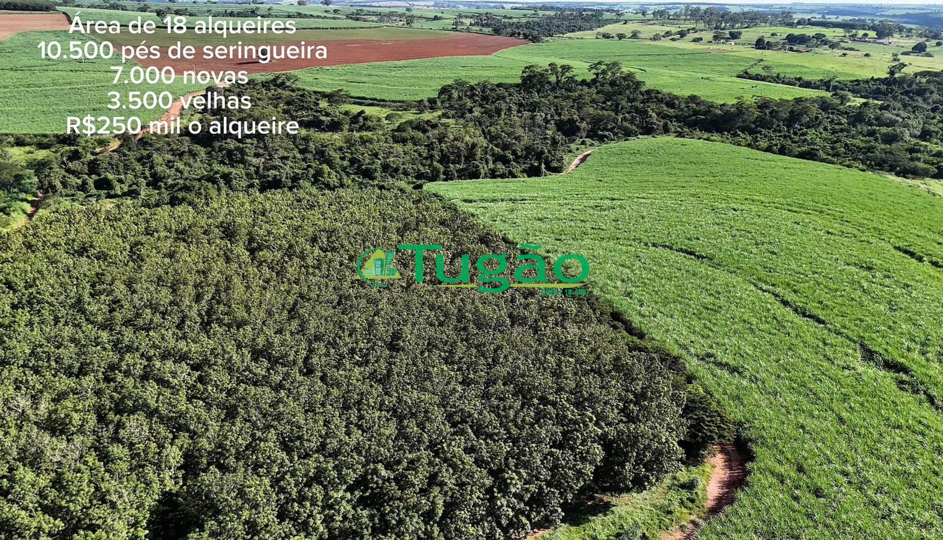 Fazenda / Sítio / Chácara  à venda, 435600m² — foto 1 de 5