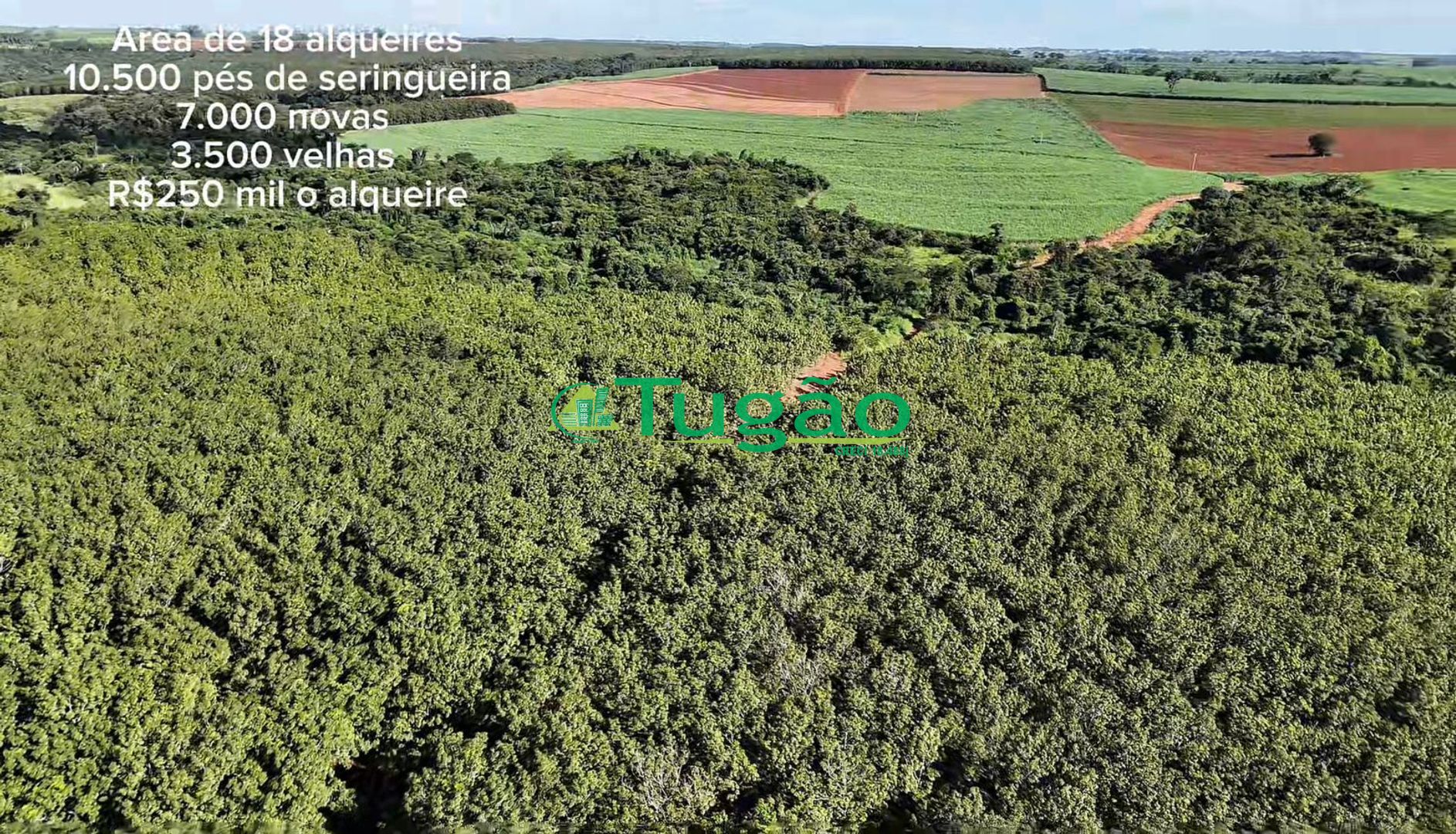 Fazenda / Sítio / Chácara  à venda, 435600m² — foto 3 de 5