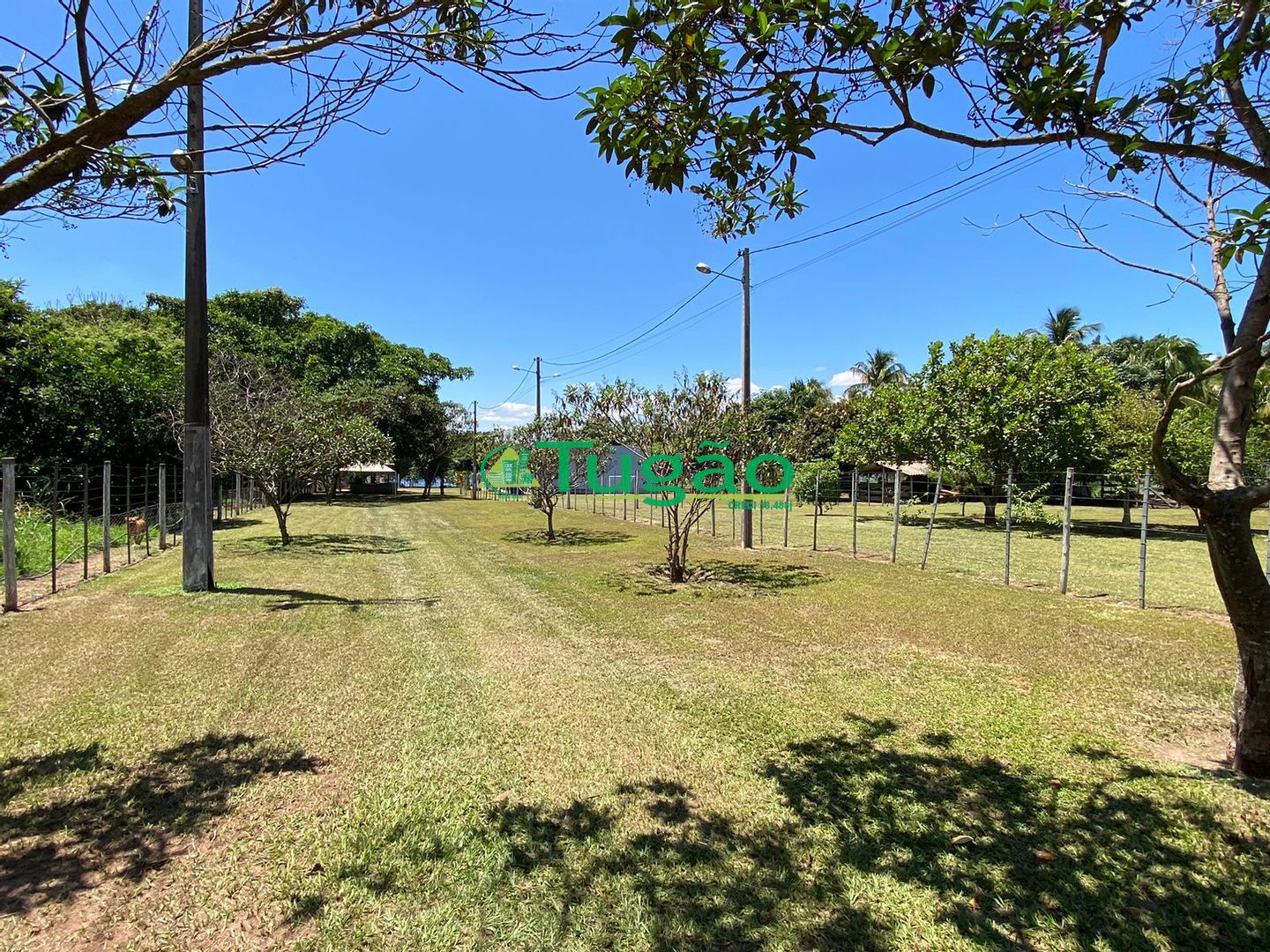 Fazenda / Sítio / Chácara com 3 quartos à venda, 220m² — foto 26 de 69