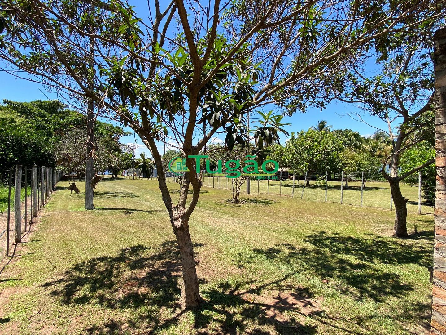 Fazenda / Sítio / Chácara com 3 quartos à venda, 220m² — foto 16 de 69