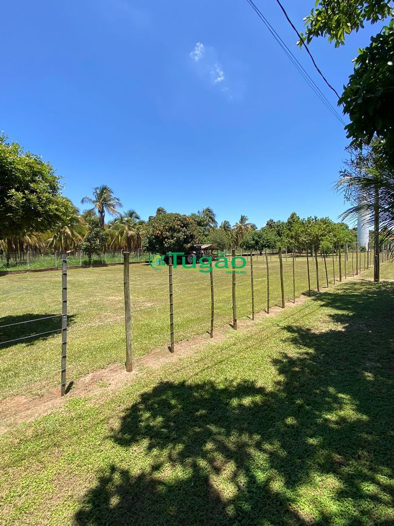 Fazenda / Sítio / Chácara com 3 quartos à venda, 220m² — foto 37 de 69