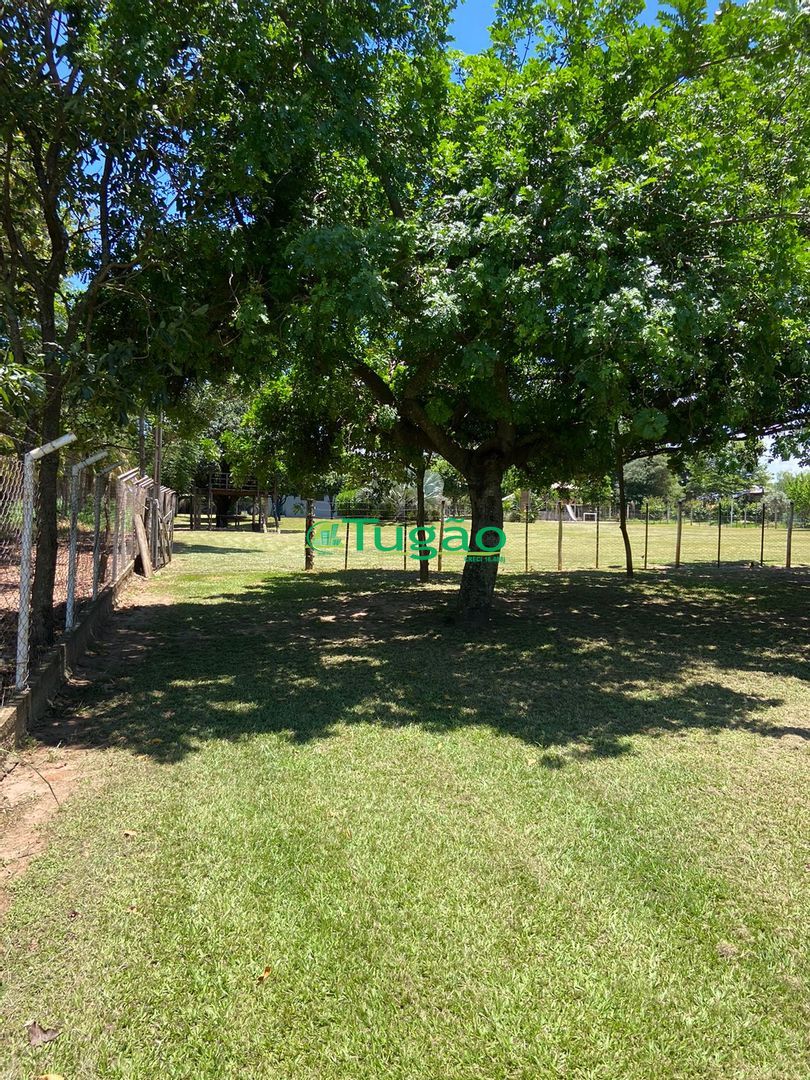 Fazenda / Sítio / Chácara com 3 quartos à venda, 220m² — foto 4 de 69