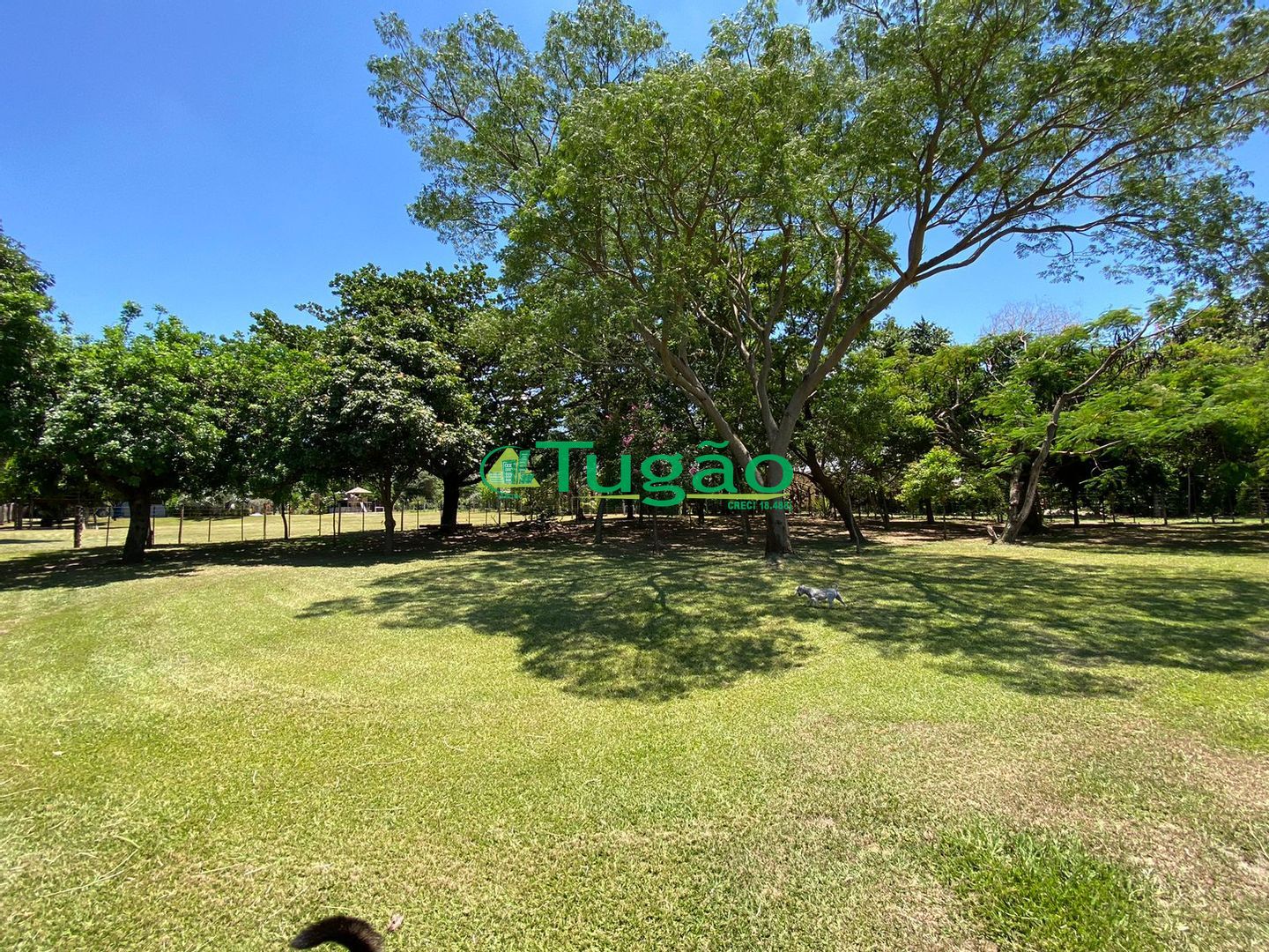 Fazenda / Sítio / Chácara com 3 quartos à venda, 220m² — foto 22 de 69