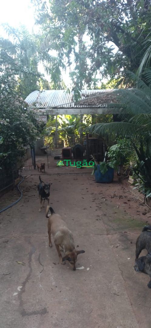 Fazenda / Sítio / Chácara com 3 quartos à venda, 350m² — foto 9 de 25