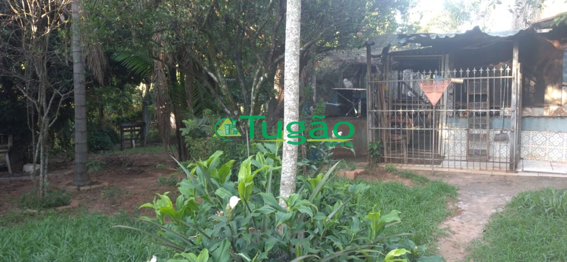 Fazenda / Sítio / Chácara com 3 quartos à venda, 350m² — foto 7 de 25