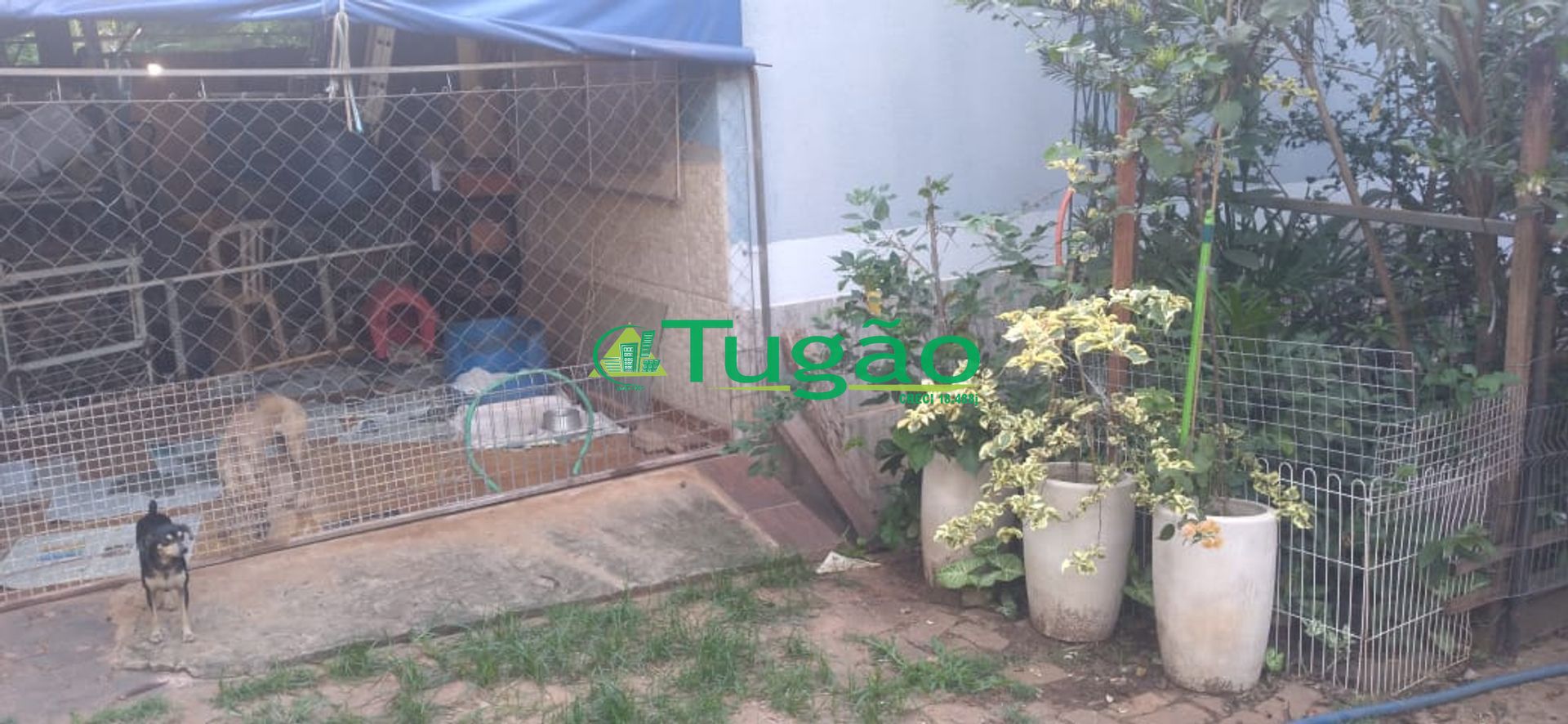 Fazenda / Sítio / Chácara com 3 quartos à venda, 350m² — foto 13 de 25