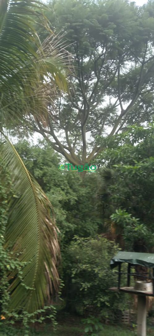 Fazenda / Sítio / Chácara com 3 quartos à venda, 350m² — foto 17 de 25
