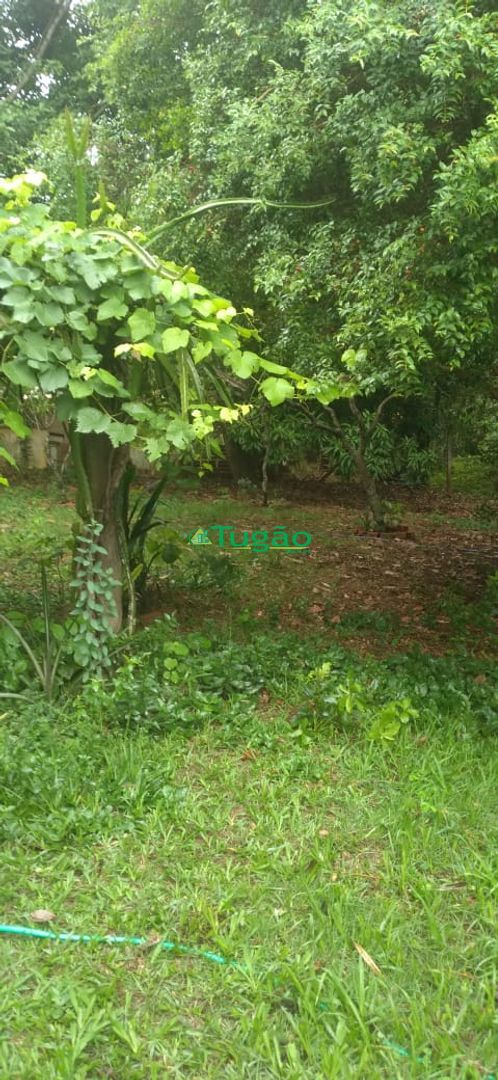 Fazenda / Sítio / Chácara com 3 quartos à venda, 350m² — foto 23 de 25