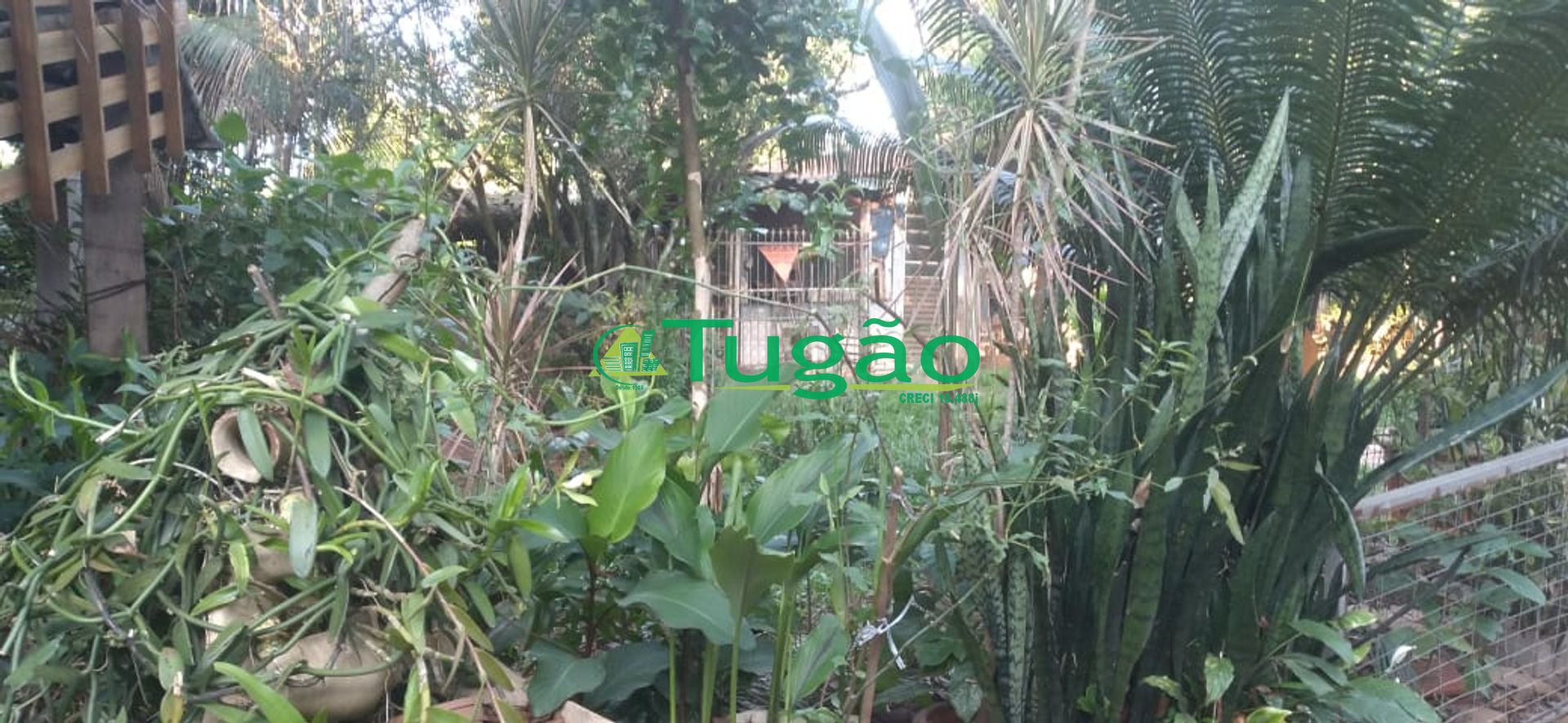 Fazenda / Sítio / Chácara com 3 quartos à venda, 350m² — foto 16 de 25