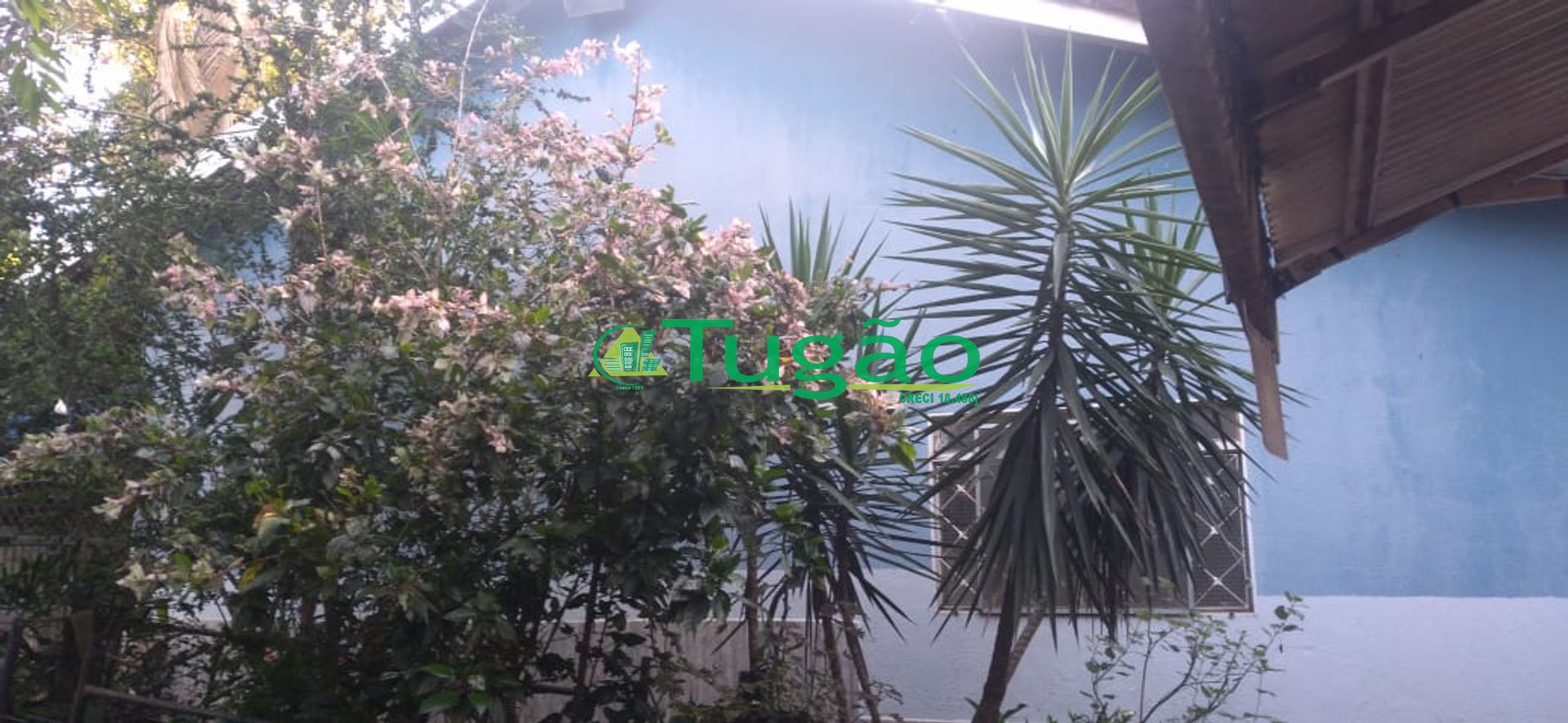 Fazenda / Sítio / Chácara com 3 quartos à venda, 350m² — foto 6 de 25