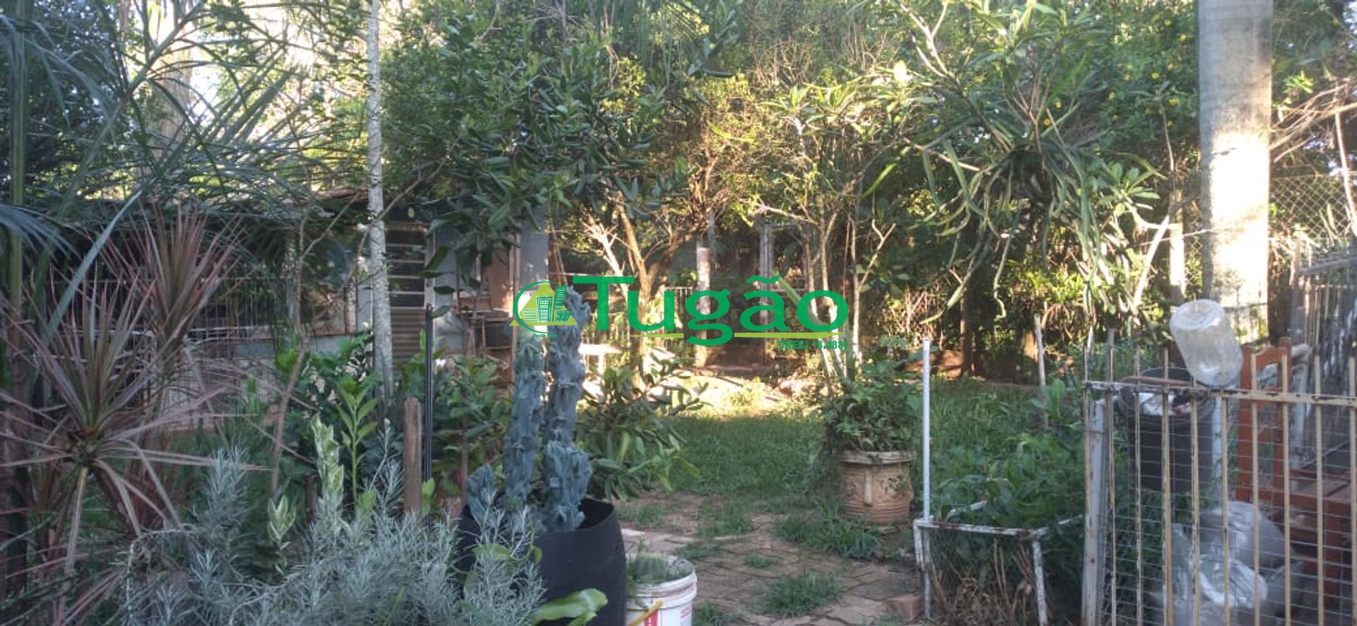 Fazenda / Sítio / Chácara com 3 quartos à venda, 350m² — foto 8 de 25