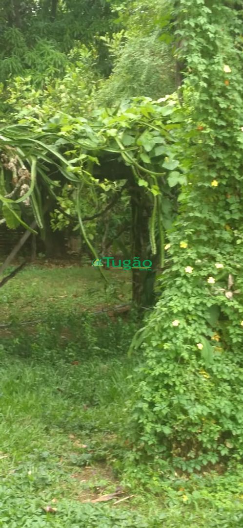 Fazenda / Sítio / Chácara com 3 quartos à venda, 350m² — foto 25 de 25