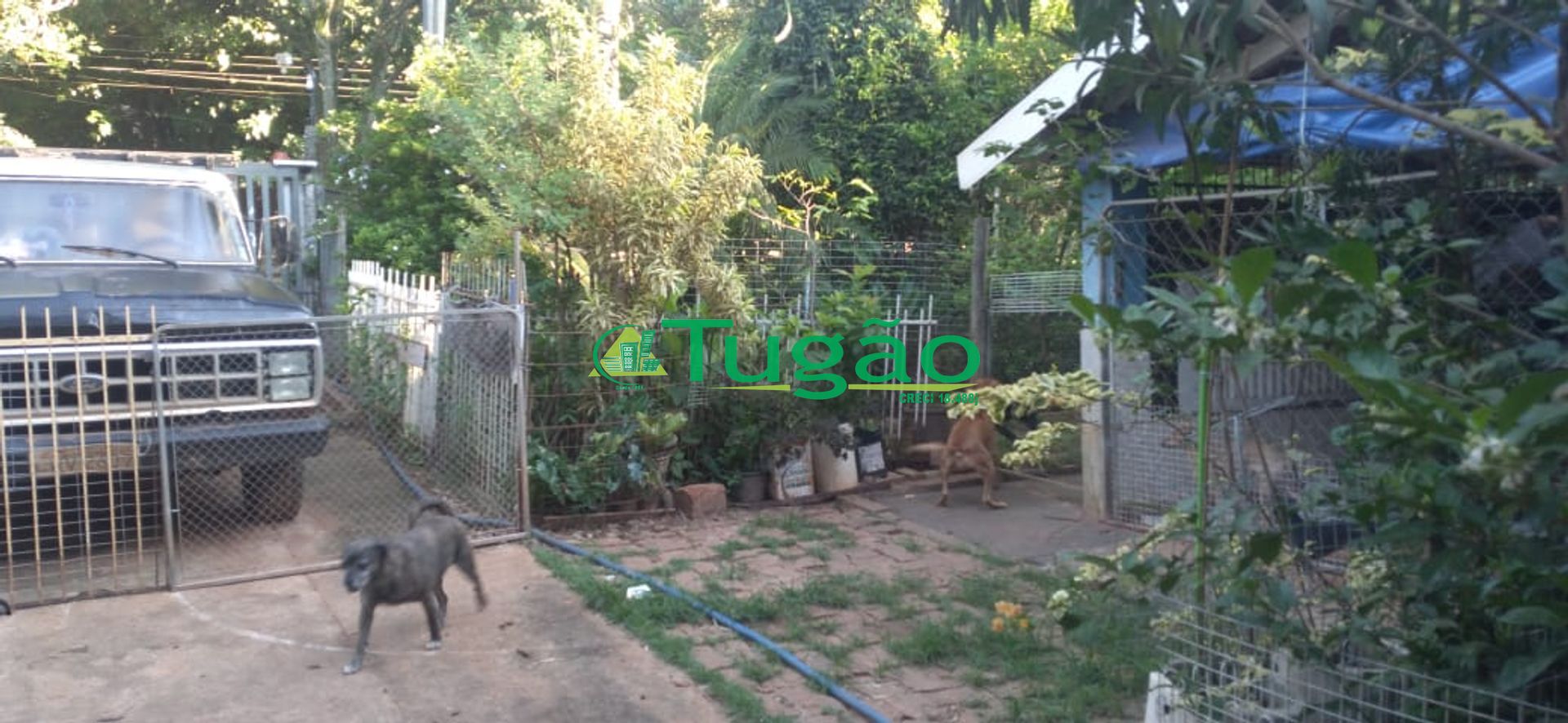 Fazenda / Sítio / Chácara com 3 quartos à venda, 350m² — foto 12 de 25