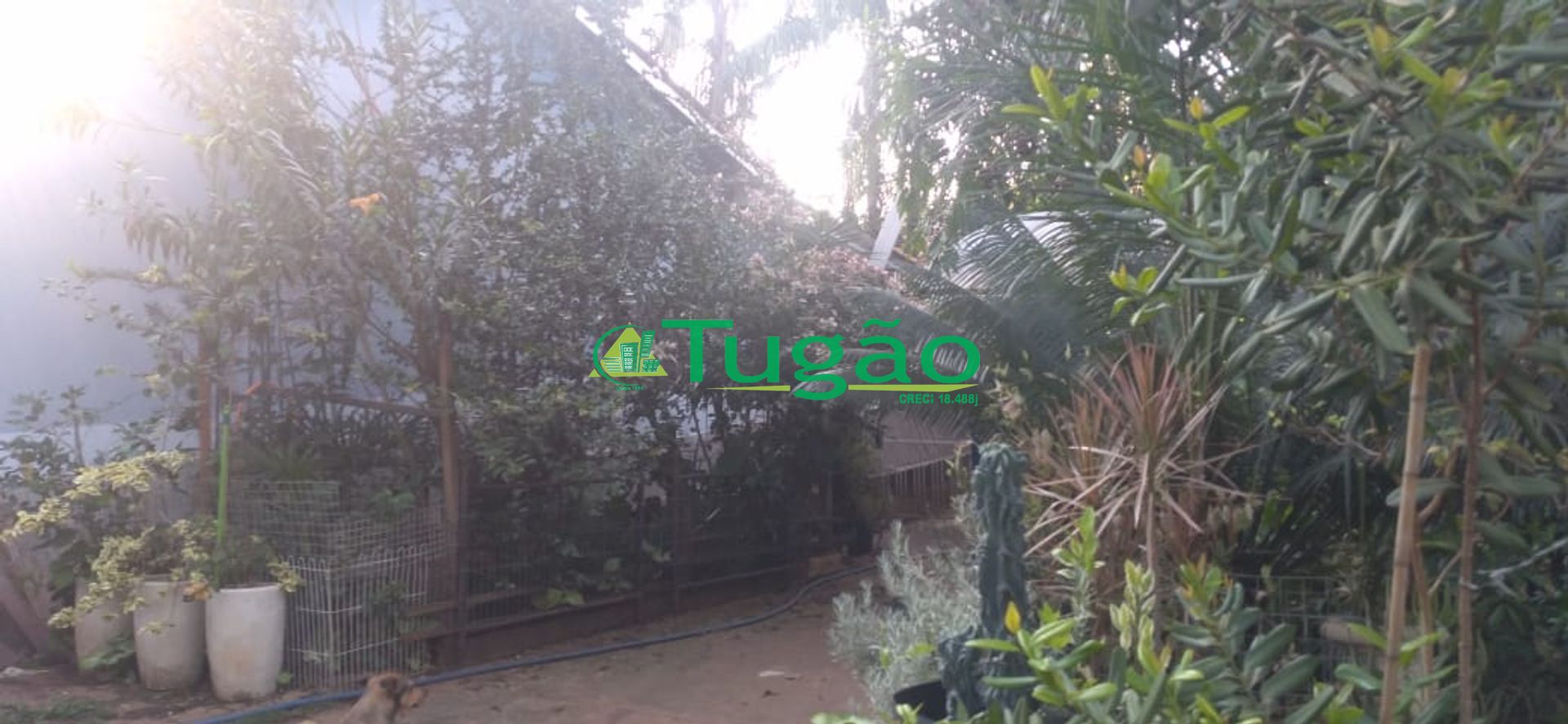Fazenda / Sítio / Chácara com 3 quartos à venda, 350m² — foto 3 de 25