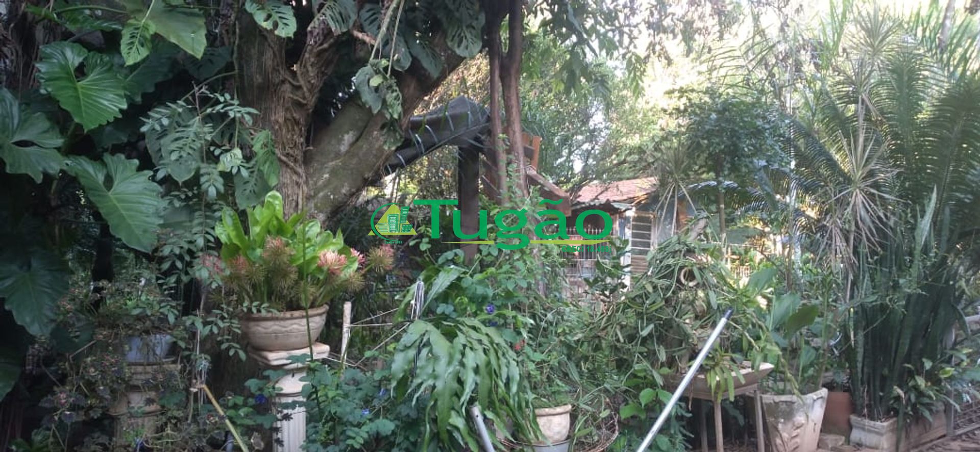 Fazenda / Sítio / Chácara com 3 quartos à venda, 350m² — foto 11 de 25
